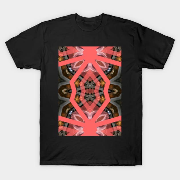 Living Coral Pantone Colour of the Year 2019 pattern decoration with neoclassical architecture T-Shirt by Reinvention